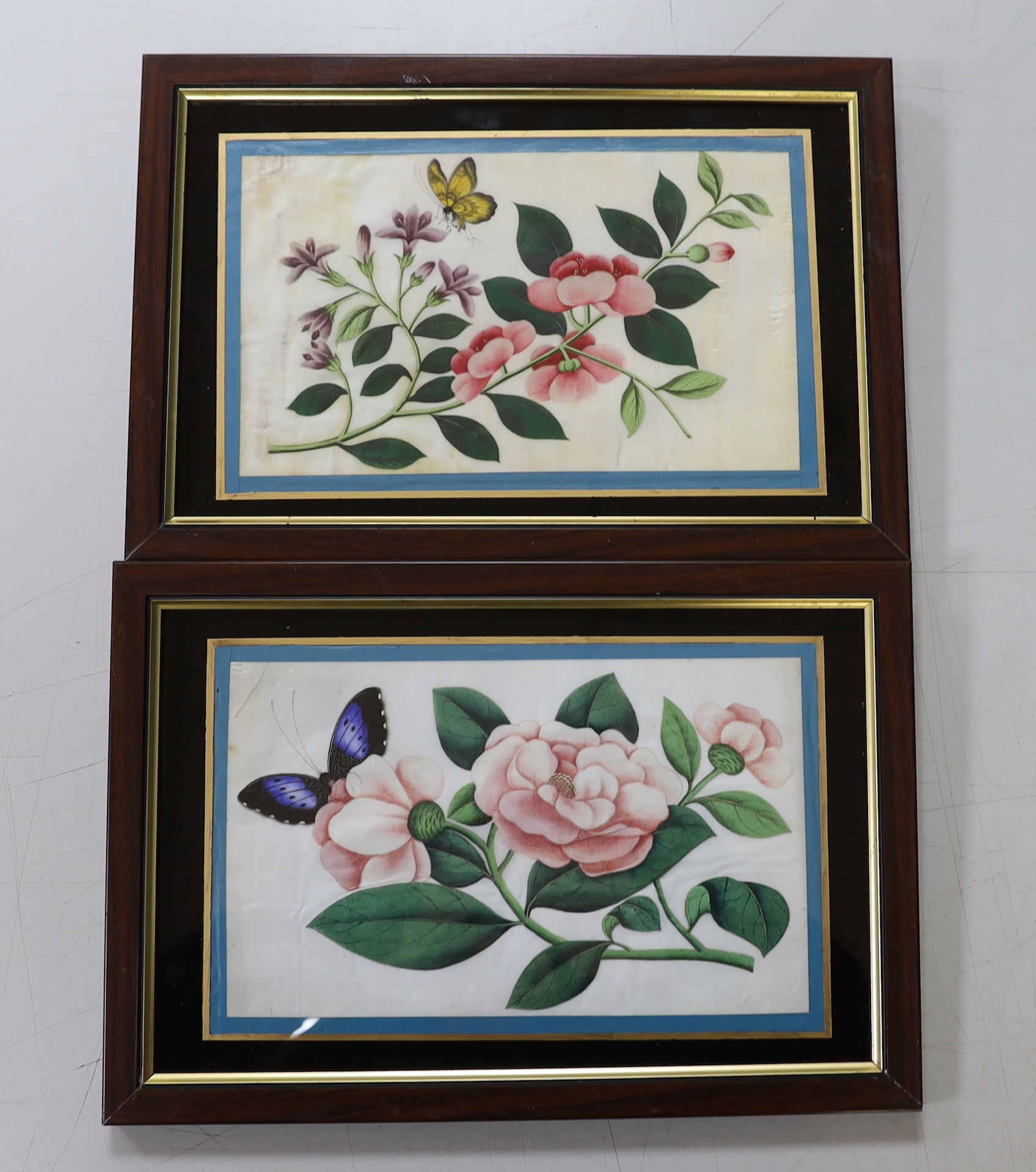 A pair of Chinese pith paper paintings, still life’s of flowers and butterflies, 14 x 23cm